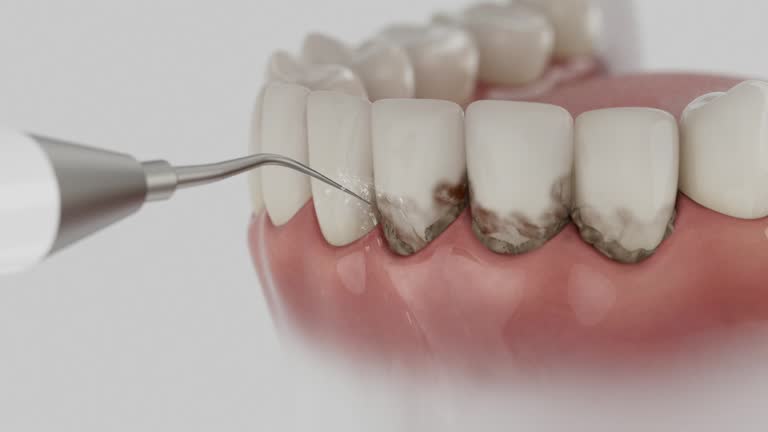 Reliable Dental contractor in Trenton, NJ by Dentist Open Now